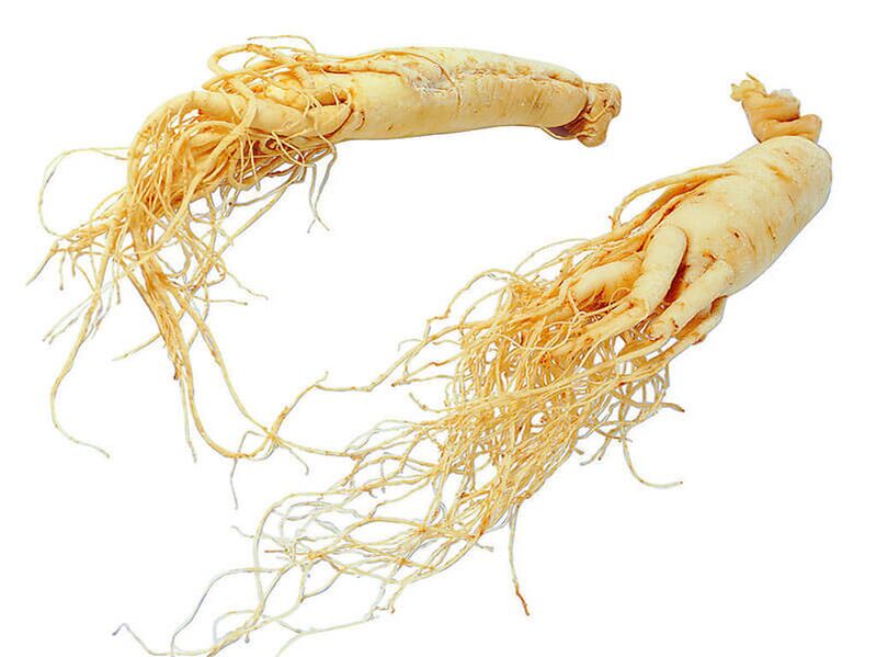 Ginseng root for strength